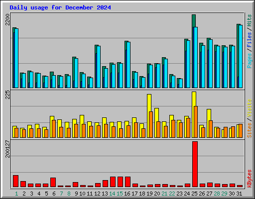 Daily usage for December 2024
