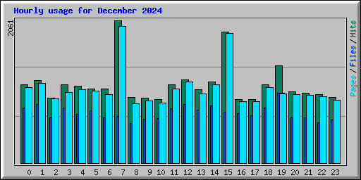 Hourly usage for December 2024