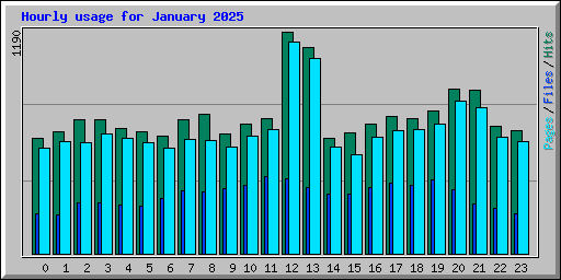 Hourly usage for January 2025