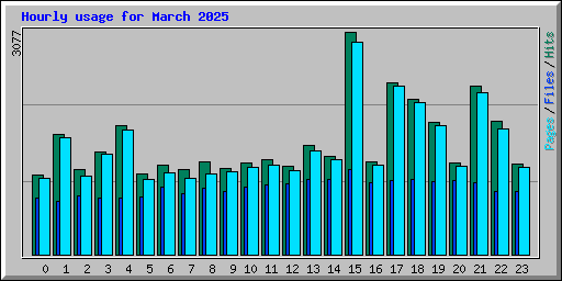 Hourly usage for March 2025